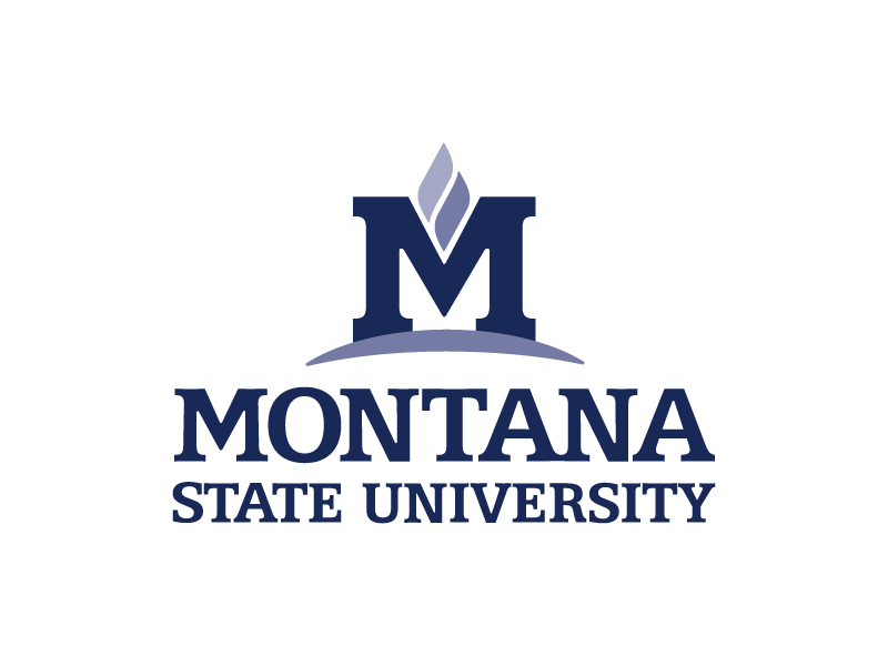 Two blue colored MSU logo