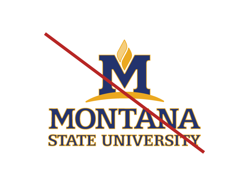 A picture of the MSU logo with a gold outline. A red line is diagonally crossed over the logo to indicate the logo does not follow the MSU brand standards.