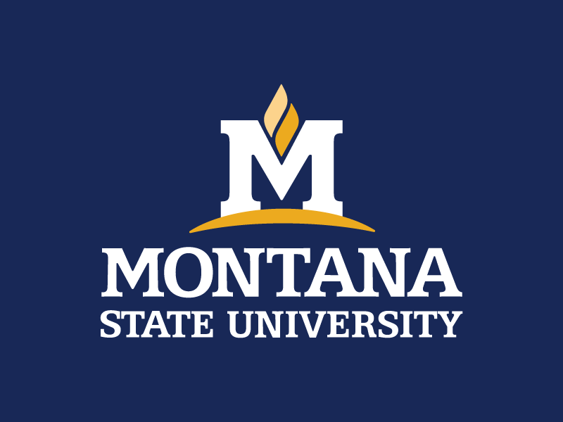 White MSU logo with the gold "M Flame" on a dark blue background