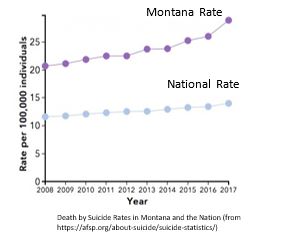 Suicide Data