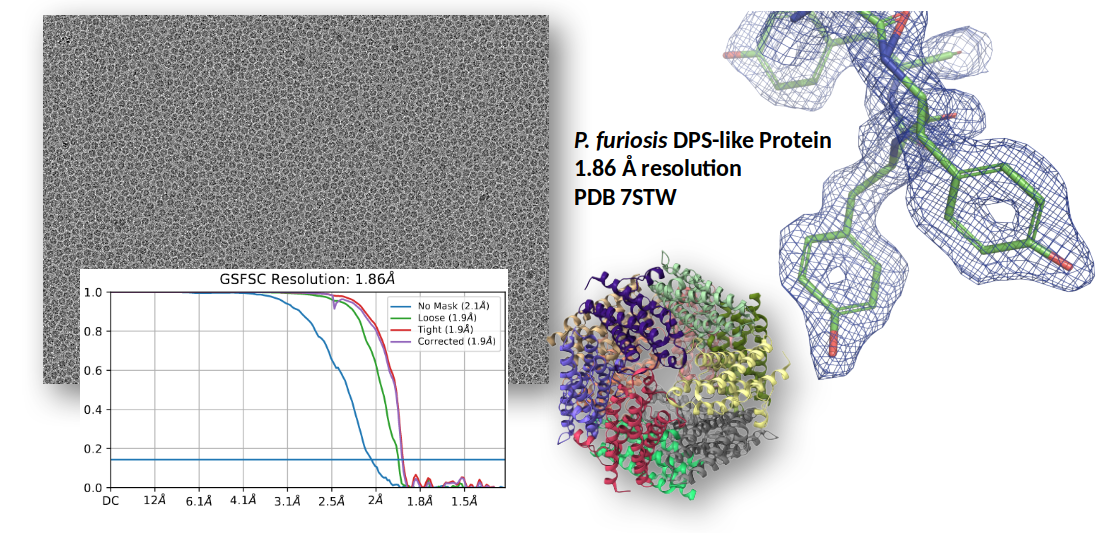 Structure of DPS-like protein from P. furiosis at 1.86 angstrom resolution