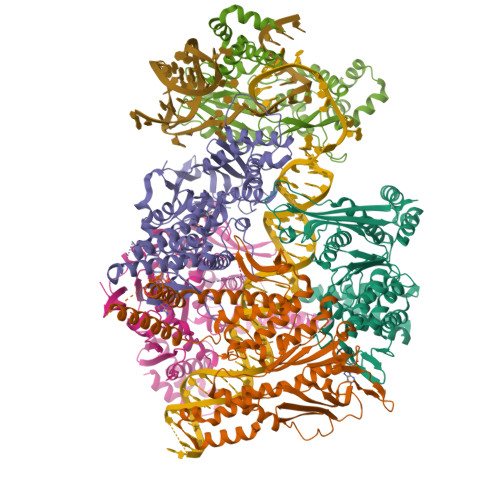 Structure of the Retron IA Complex without the HNH Nuclease