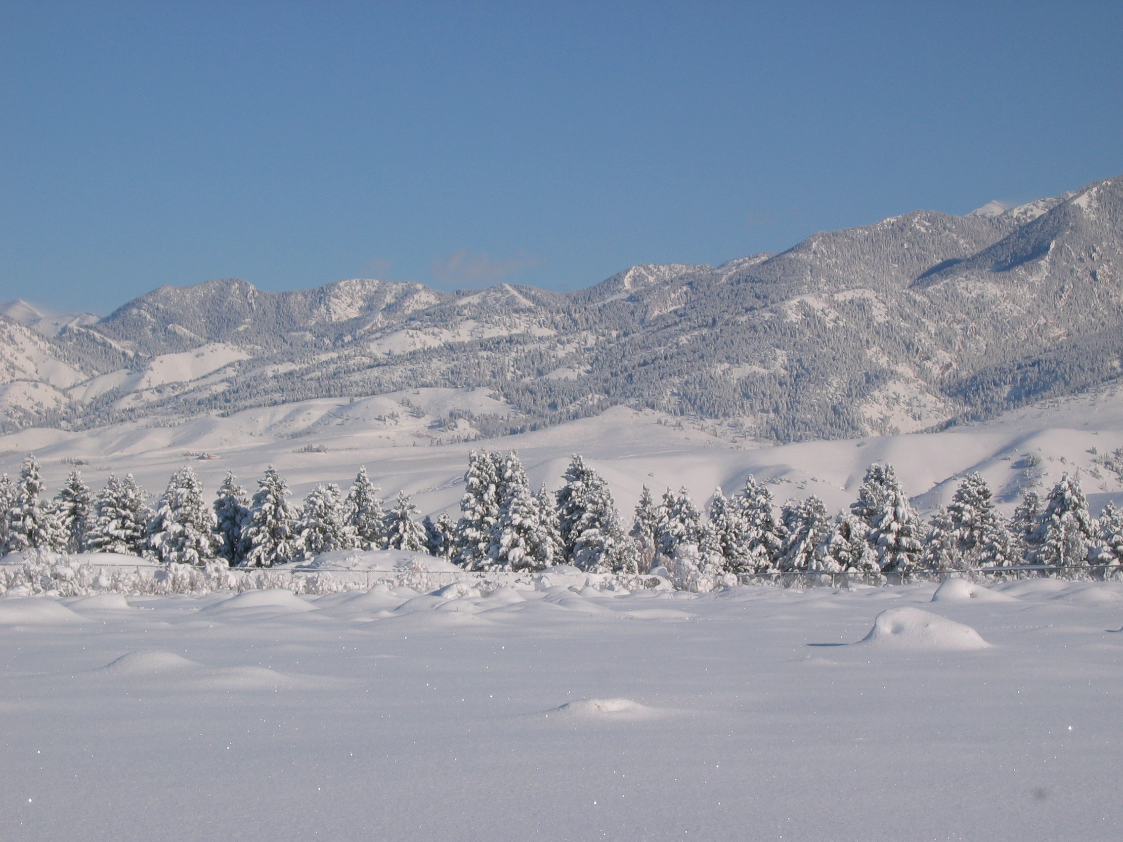 Bozeman Winter