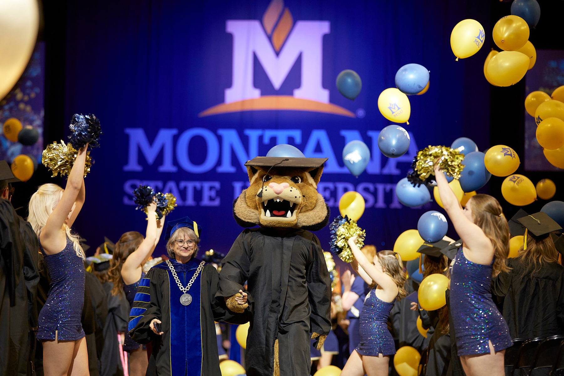 Graduation ceremony photo with woman with short hair in cap and robe walking with Champ the Bobcat mascot wearing a cap and gown, walking through cheerleaders wearing blue and gold and the Montana State logo in the background