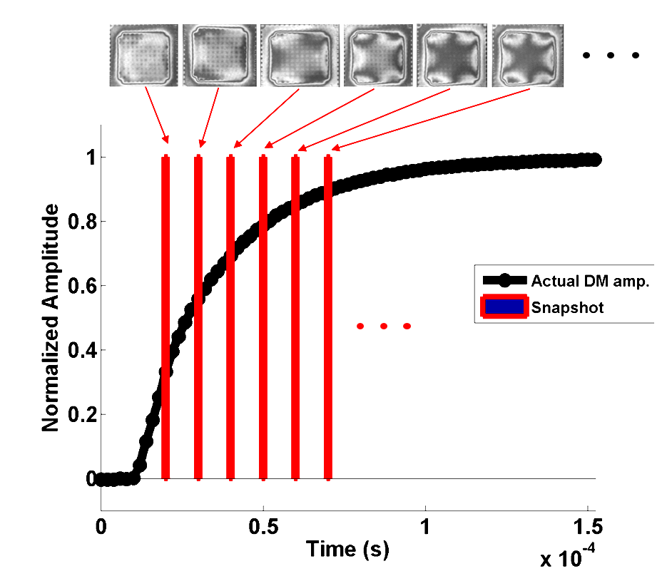 Trefoil step response