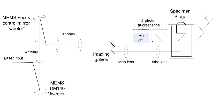 active/adaptive microscope