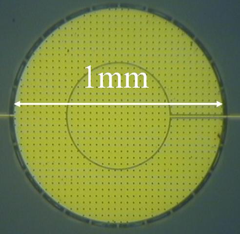 sim membrane 