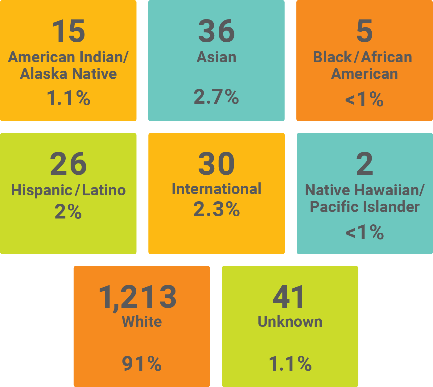 Graphic showing the demographics of faculty by race and ethnicity. American Indian/Alaska Native with 15 at 1.1%, Asian with 36 at 2.7%, Black/African American with 5 at less than 1%, Hispanic/Latino with 26 at 2%, Native Hawaiian/Pacific Islander with 2 at less than 1%, White with 1,213 at 91%, and Unknown with 41 at 1.1% 