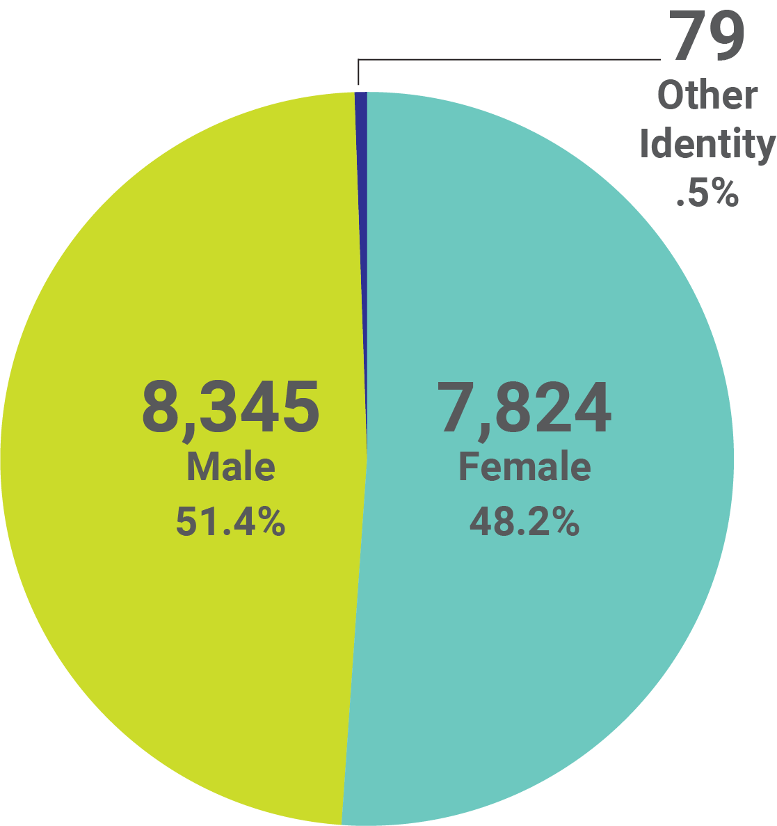 Graphic showing the demographics of students by gender identity. Male with 8,345 at 51.4%, Female with 7,824 at 48.2%, and Other Identity with 79 at 0.5%. 