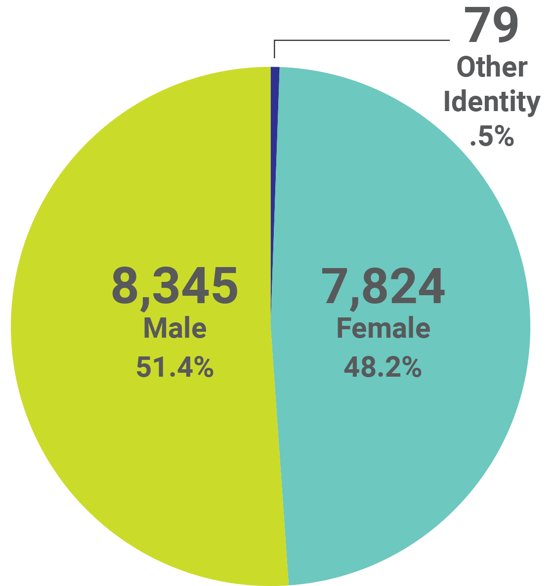 Graphic showing the demographics of students by gender identity. Male with 8,345 at 51.4%, Female with 7,824 at 48.2%, and Other Identity with 79 at 0.5%. 