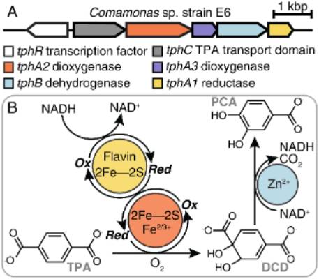 Reaction scheme