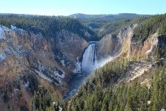 yellowstone falls