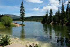 mountain lake amongst the trees