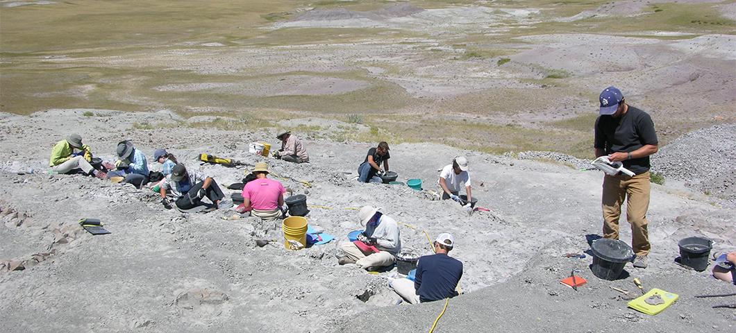 Paleontology students hard at work at the digsite