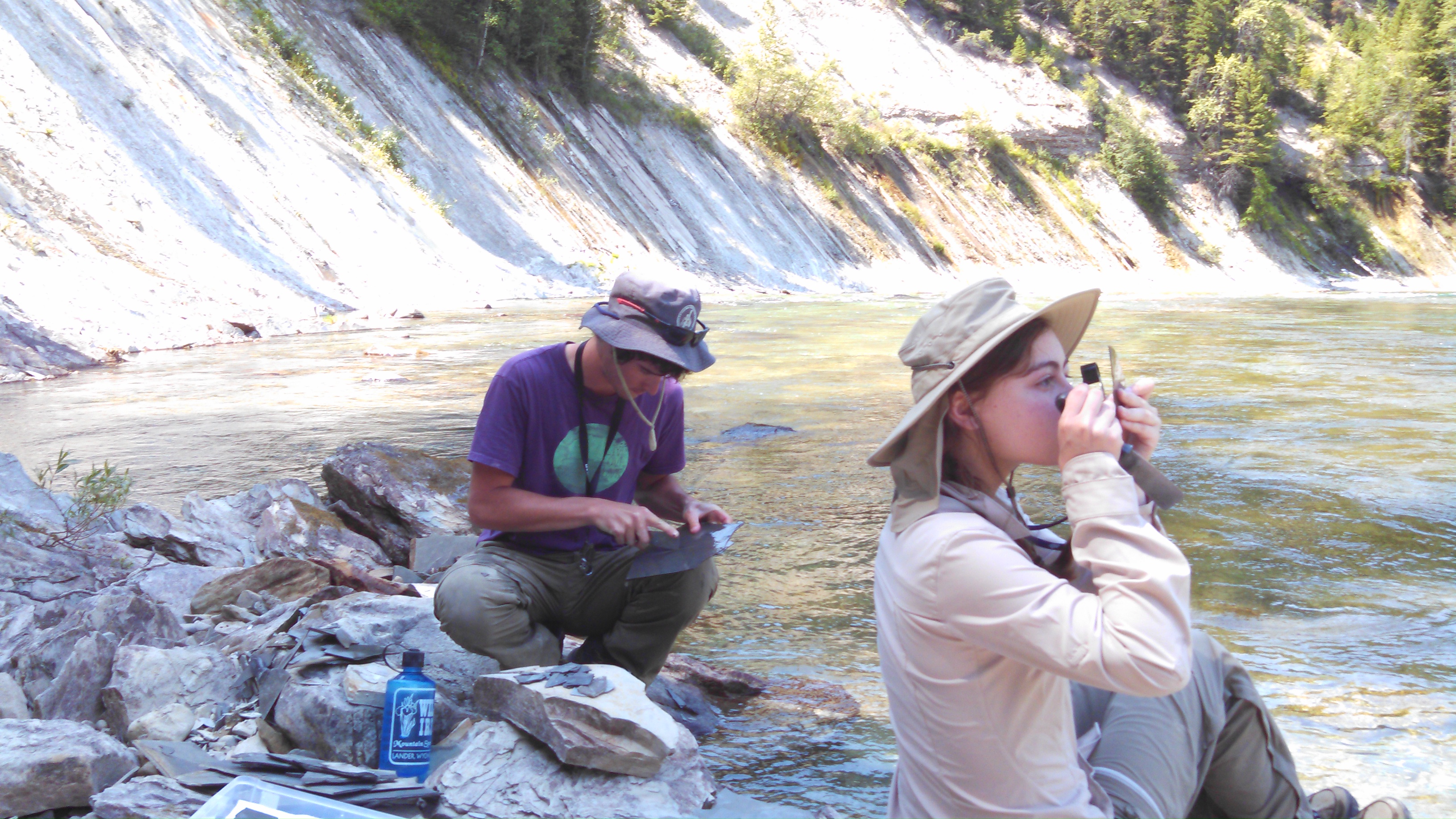 Searching for insect fossils in the Kishenehn Formation, northwestern Montana