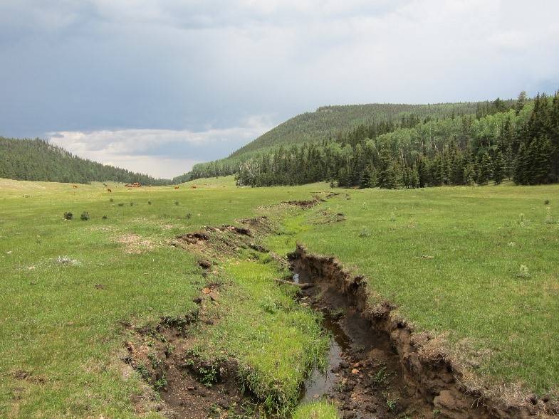 Erosion in wetlands on Bonito Creek