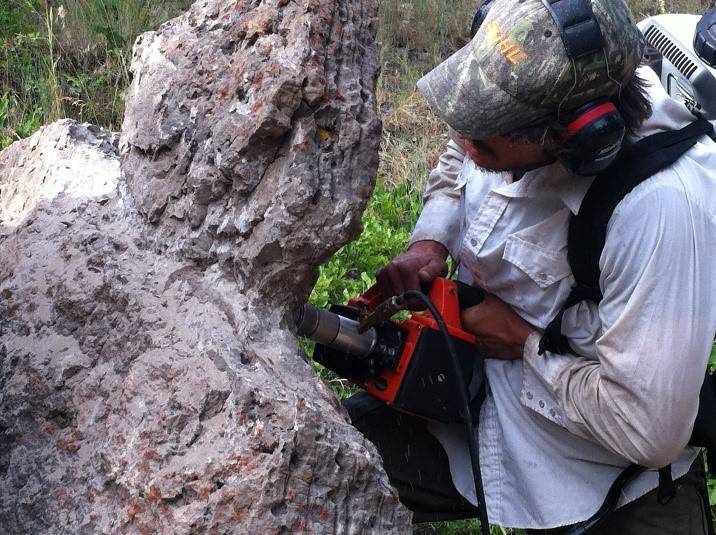 The outcrop is an ancient reef built by now extinct sponges called “stromatoperoids.” These beds have significant porosity and permeability which made them potential targets of the disposal of CO2 emissions.