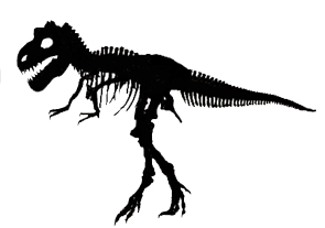 T. Rex Skeleton