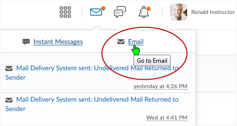 D2L DL CD v1074 screenshot - select the "Email" link