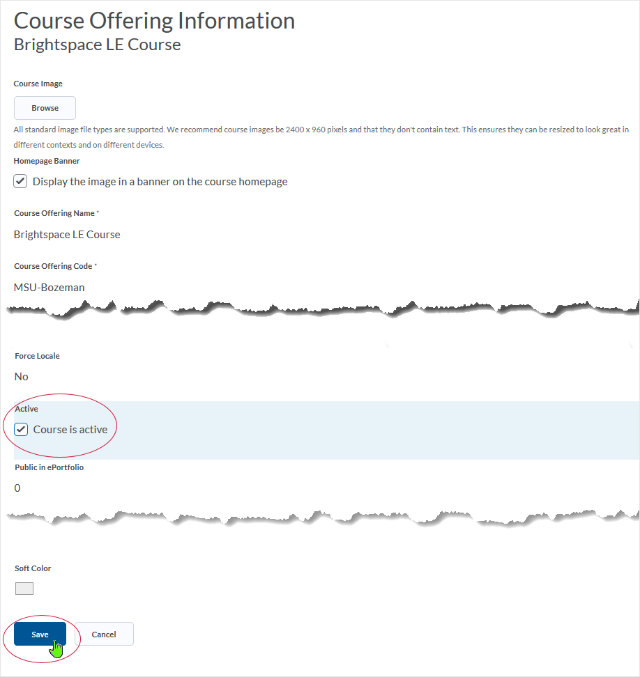 D2L 20.19.8 screenshot - select the checkbox named "Active" and then select "Save"