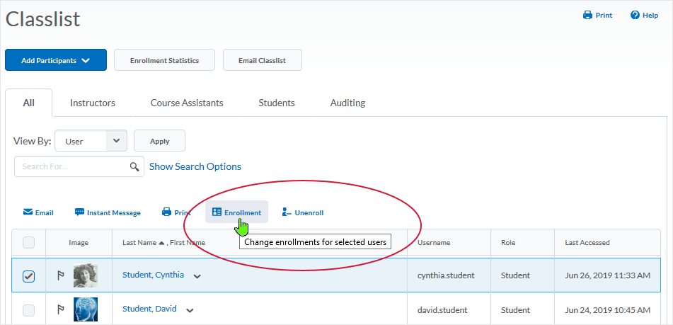 D2L 20.19.06 screenshot - select change enrollments icon above