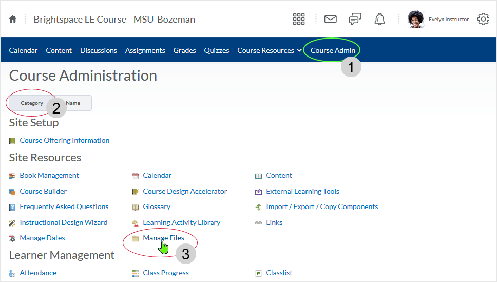 D2L 20.19.6 screenshot: accessing the Manage Files area via the Course Admin area