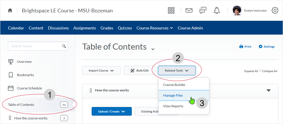 D2L 20.19.6 screenshot: go to Content and select to view from the Table of Contents level - then select the "Related Tools" button and from the drop menu select "Manage Files"