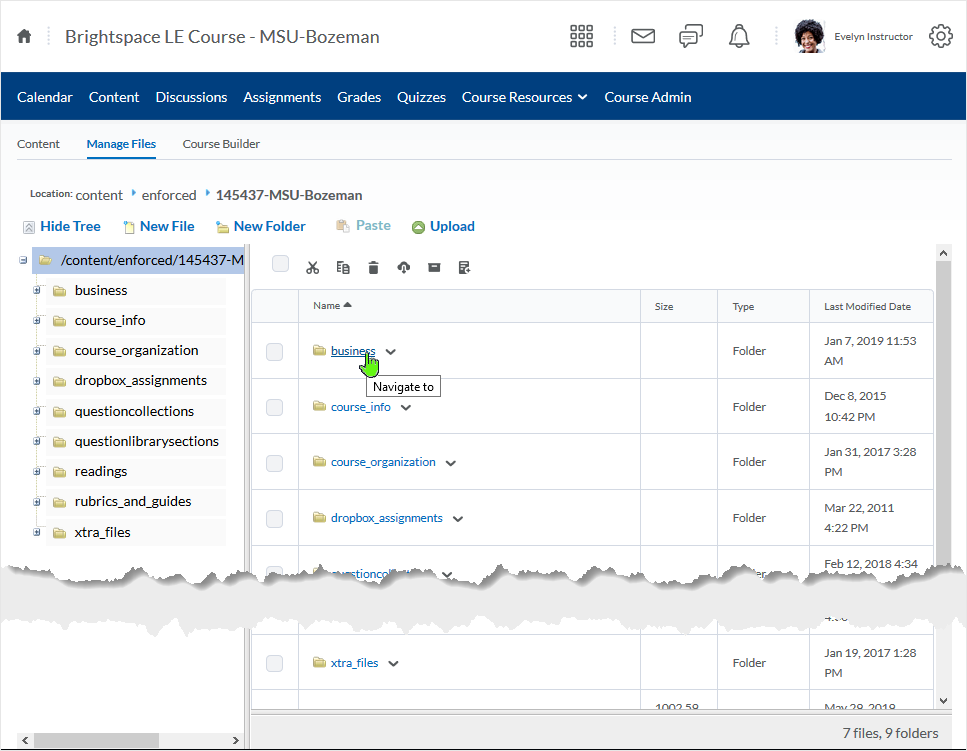 D2L 20.19.6 screenshot: the Manage Files area is displayed