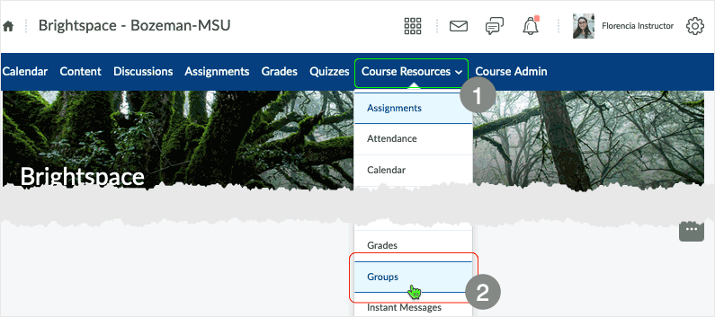 Brightspace 20.22.4 screenshot - select "Groups" from "Course Resources" drop menu
