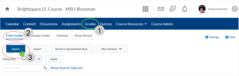 D2L 20.19.6 screenshot - select Grades link from Course Nav bar, select Enter Grades tab, select "Import" button