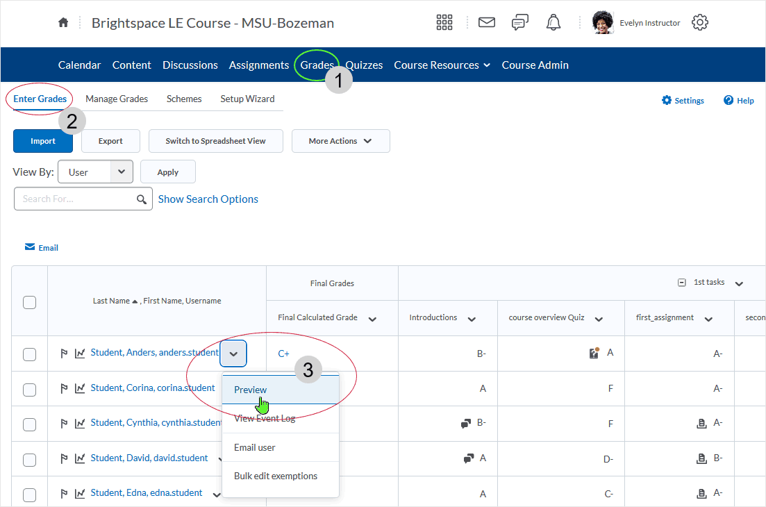 D2L 20.19.9 screenshot - select Preview from the contextual menu associated with a student namestudent name link from Course Navigation bar menu, in the "Enter Grades" area select student name link