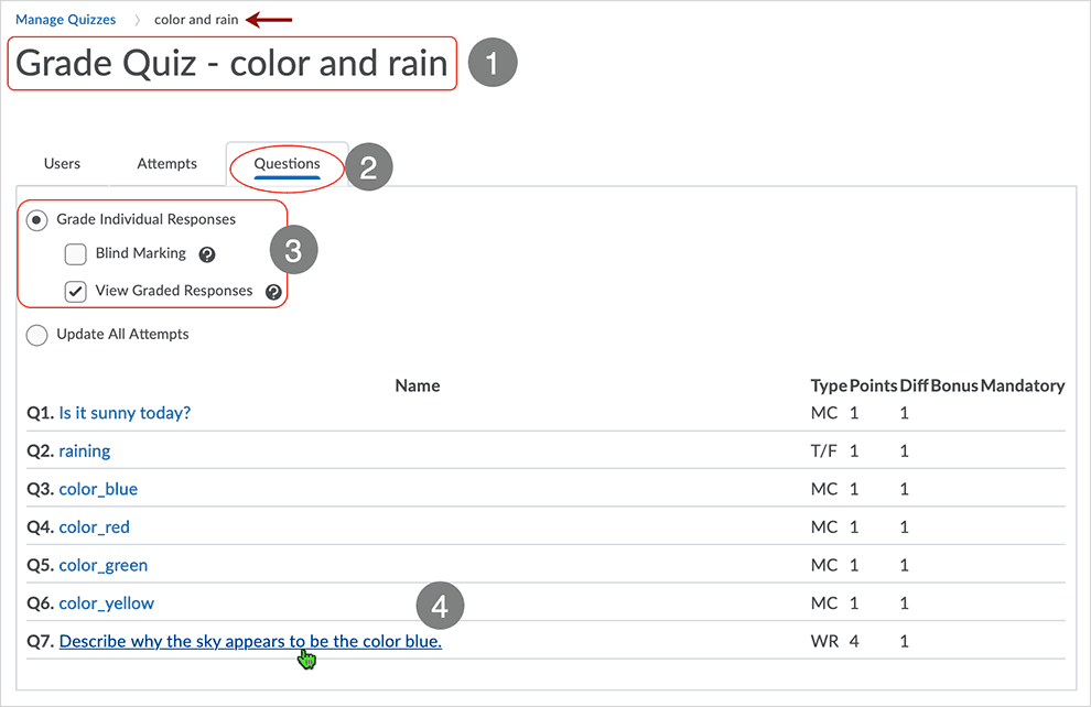 Brightspace screenshot - CD 20_20_04 - Questions tab page showing available options