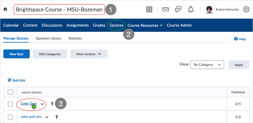 Brightspace screenshot - CD 20_20_04 - Manual Grade and Publish - showing available options