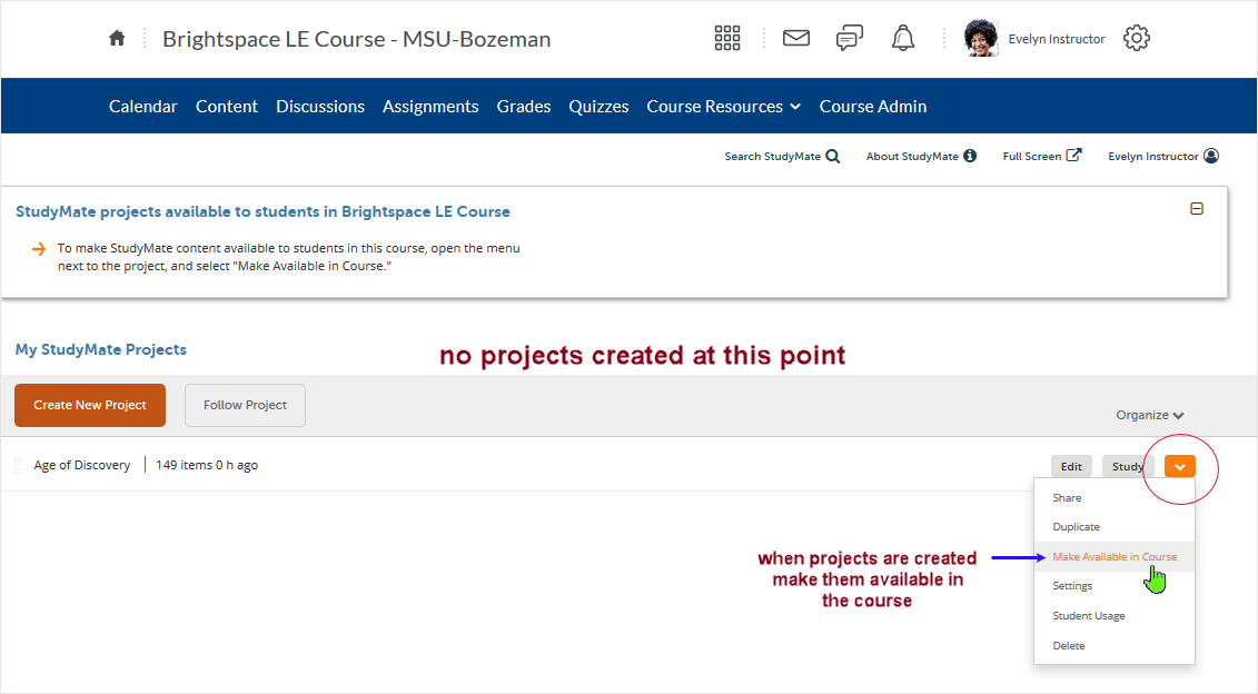 D2L CD 20.19.9 screenshot - shows the initial "My StudyMate Projects" entry page with no projects created - highlights the 