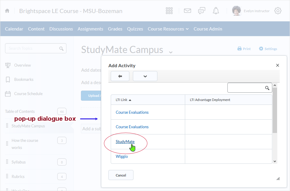 D2L CD 20.19.9 screenshot - shows the module created (StudyMate Campus) and selection of the 