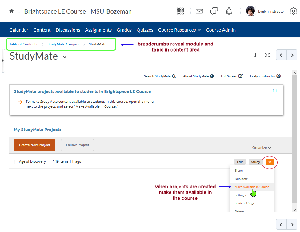 D2L CD 20.19.9 screenshot - displays the "My StudyMate Projects" area. Select "Make Available in Course" to present any projects from this area inside the course for easy access. 