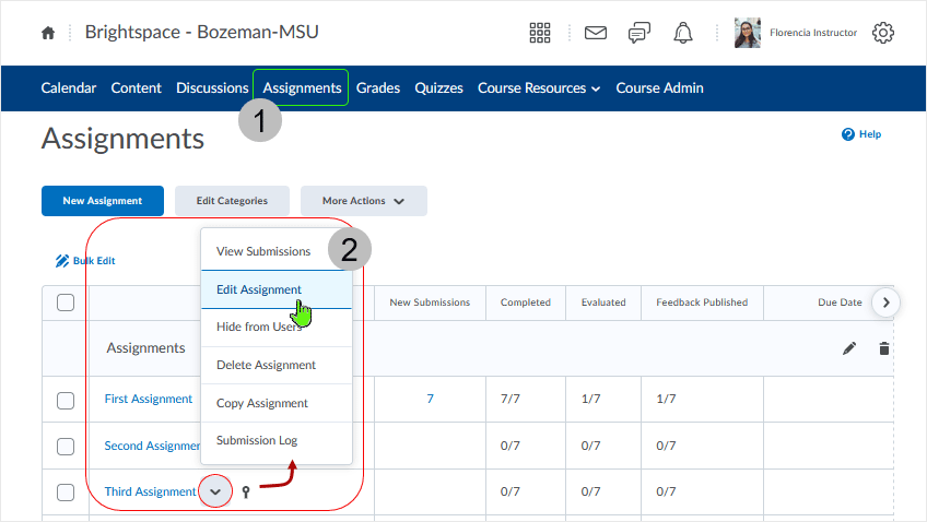 Brightspace screenshot 20.21.10 - accessing editing assignment