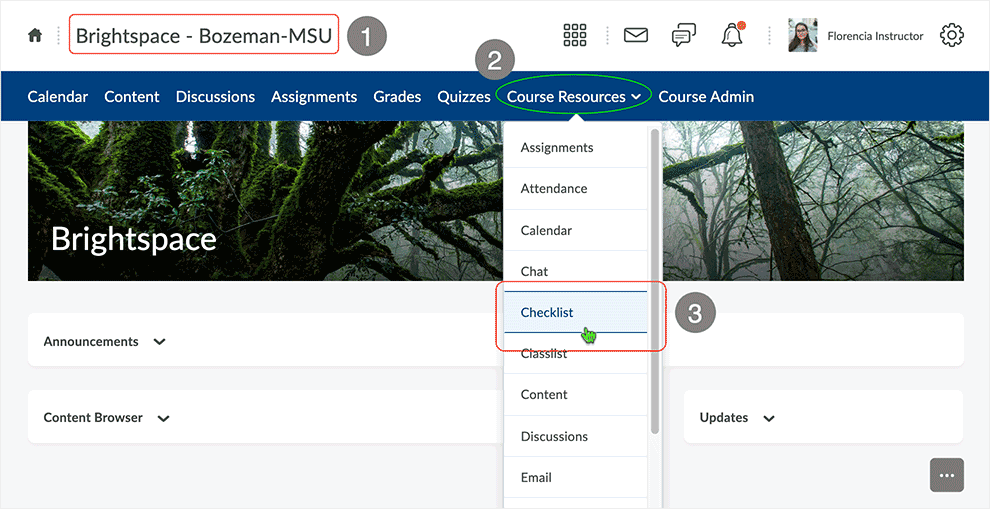 Brightspace screenshot - CD 20_21_01 access checklist area in a course