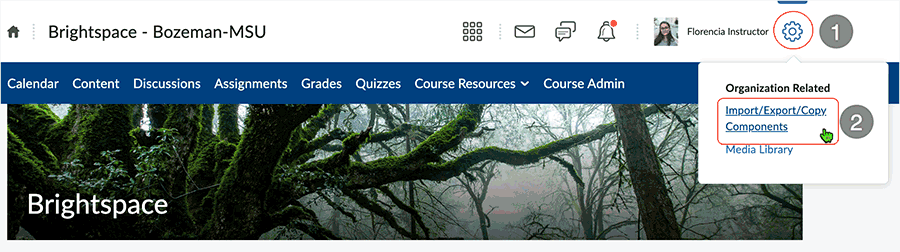 Brightspace screenshot - CD 202312 - select Import/Export/Copy Components link from te gear icon in the upper right
