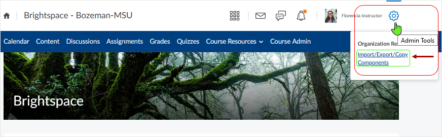 Brightspace screenshot - 20_21_11 - selection of "Admin Tools" off course page from mini-bar - after which selct "Import/Export/Copy Components" link