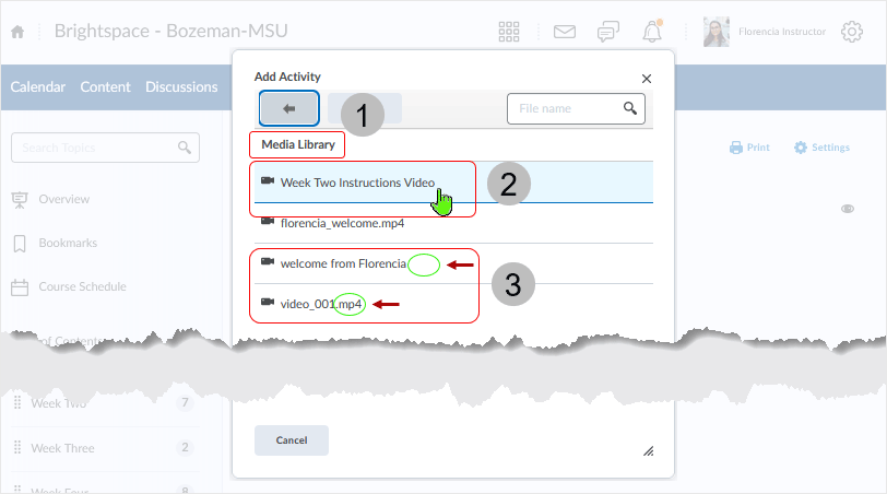 Brightspace screenshot - 20_22_03 - selecting a video file via the "Media Library" dialog box