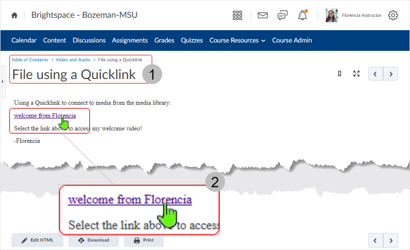 Brightspace screenshot - 20_22_03 - after the topic displays, select the Quicklink from the html document