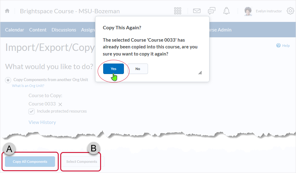 D2l 20.20.01 Screen capture - verbiage related to Copy Course Components dialogue box