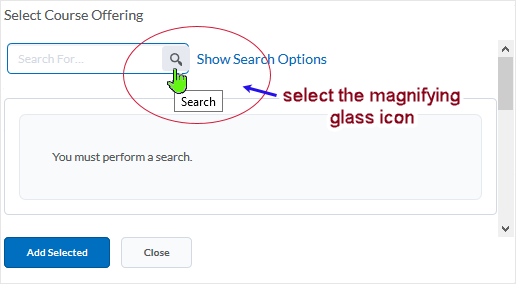 D2L 20.19.06 screenshot - select the magnifier icon