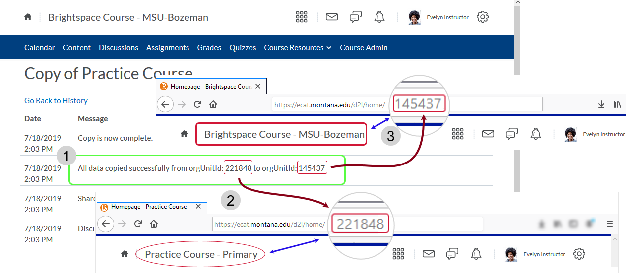 D2L 20.20.01 screenshot - graphic detailing where the course's 'ou' number is found in a browser address bar