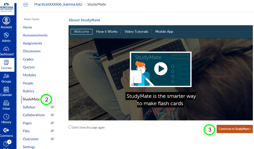 Canvas page with #2 next to studymate in course navigation menu and #3 next to next to "continue to studymate" button