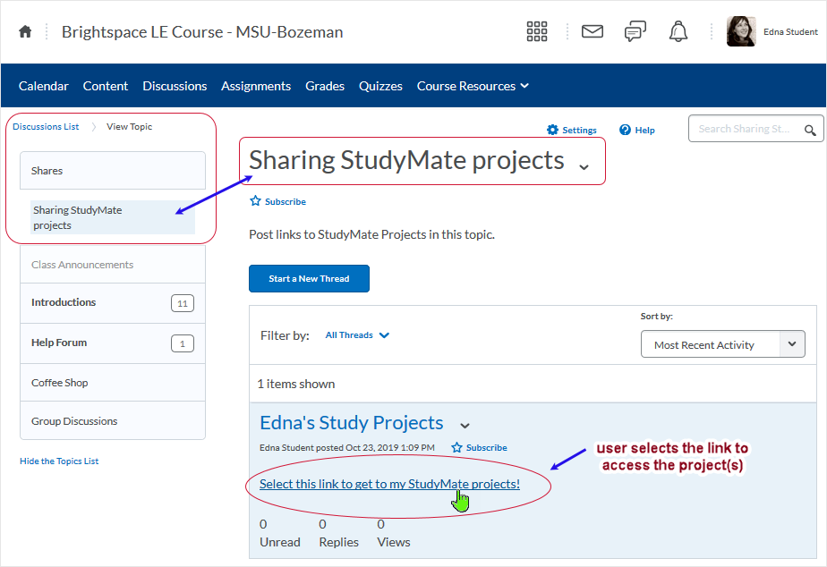 Brightspace_StudyMate screenshot 20.19.10 - selecting the link to access the project(s) area