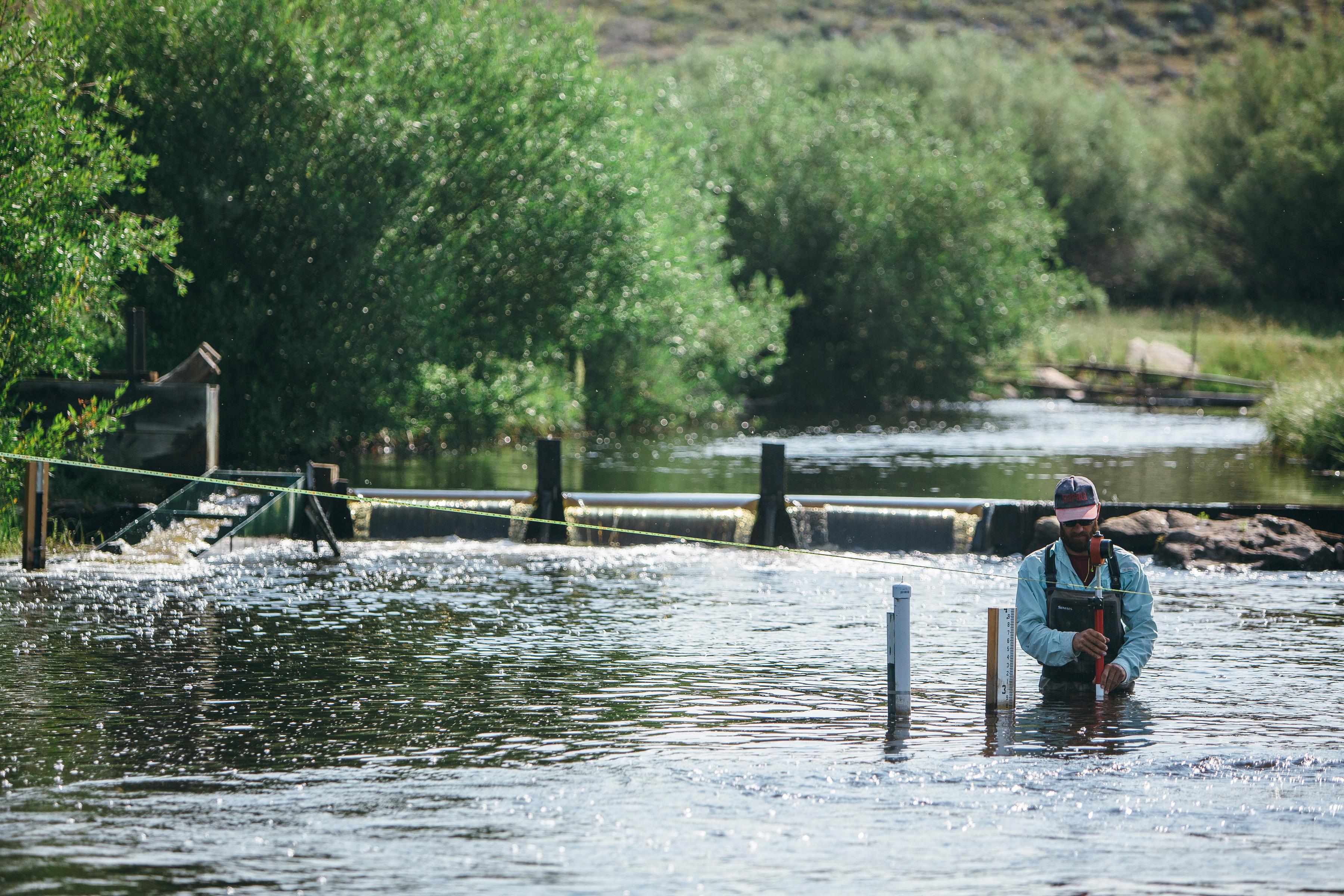 Ben Triano checking a gauge station on the Big Hole Arctic Grayling Connectivity Project