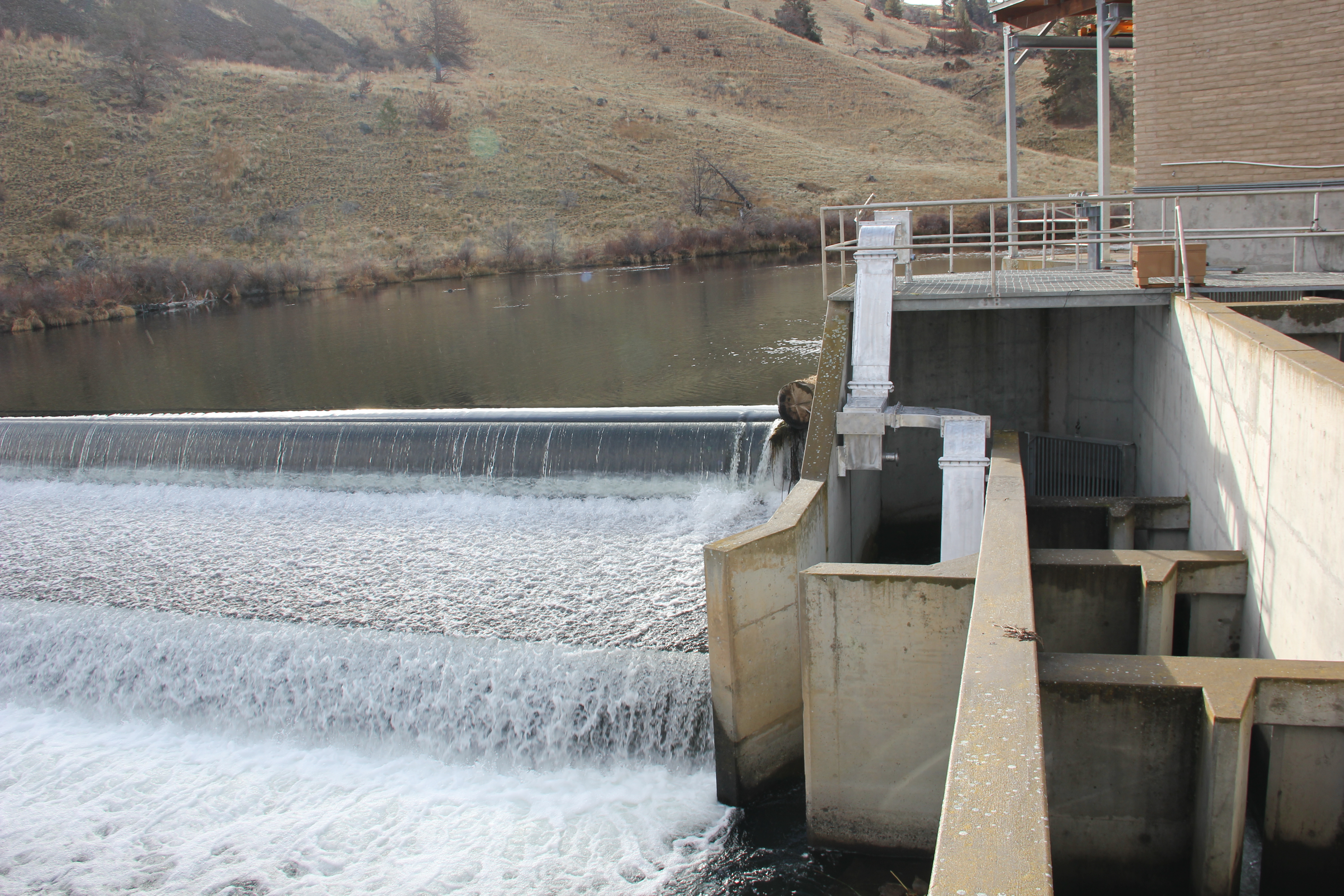 Photo of a dam with fish passage structure and lamprey passage structure