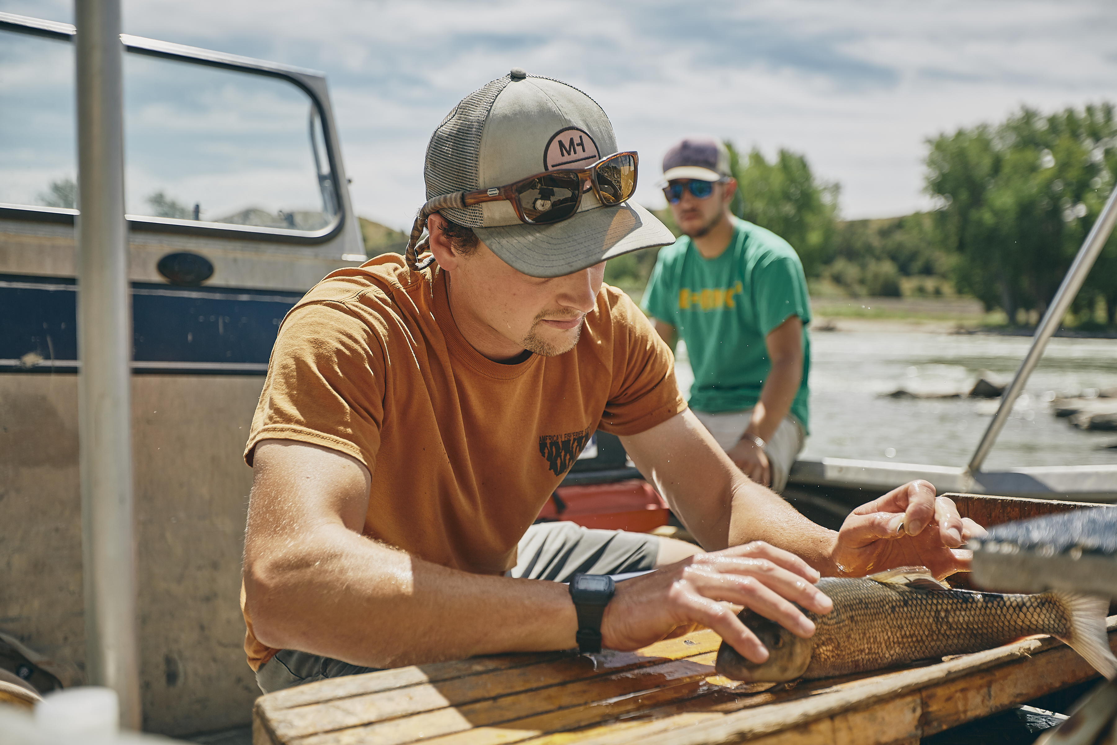 Photo of Graduate Student Ian Anderson and Rocky Mountain College Undergraduate Evan Matos tagging fish at the Huntley Diversion